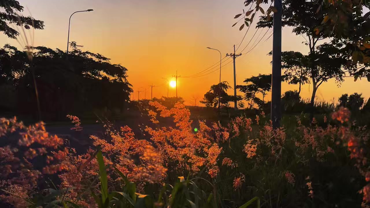 @Anh C&ocirc;ng Nh&acirc;n 📸
