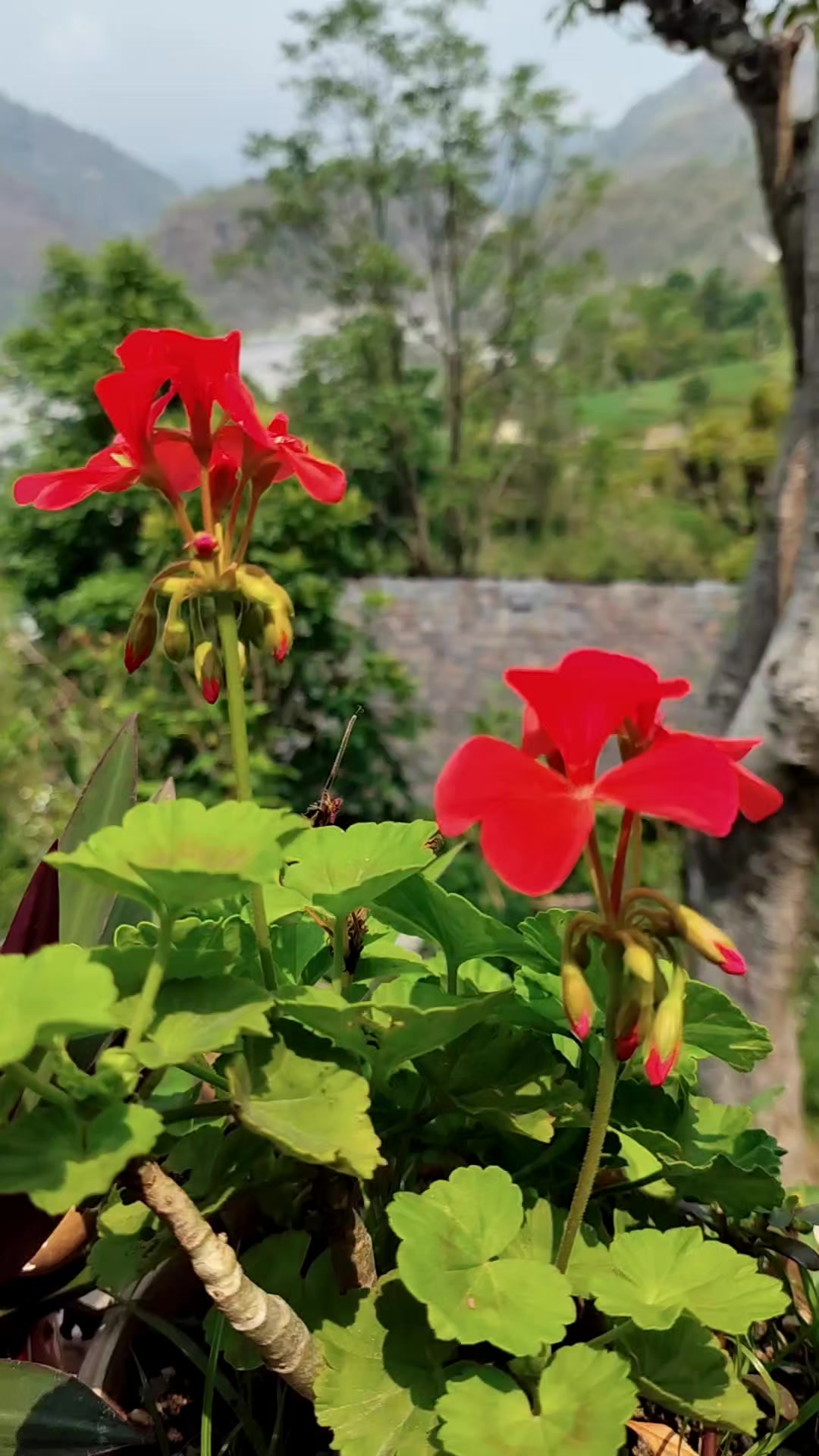 @S❤️M🇳🇵❤️