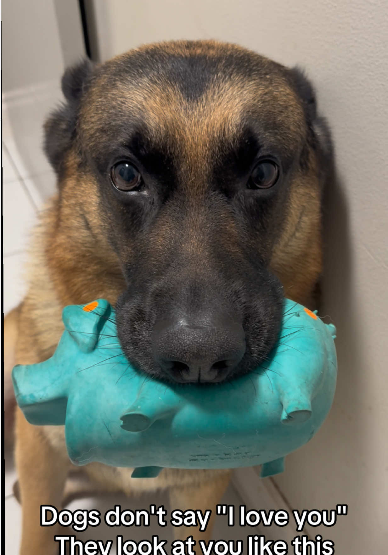@Martygsd