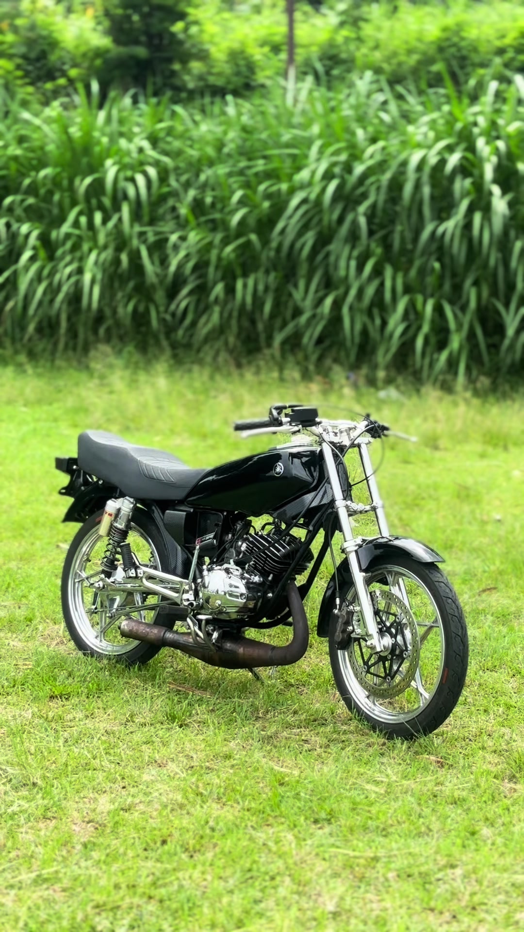 @Rx_starblack