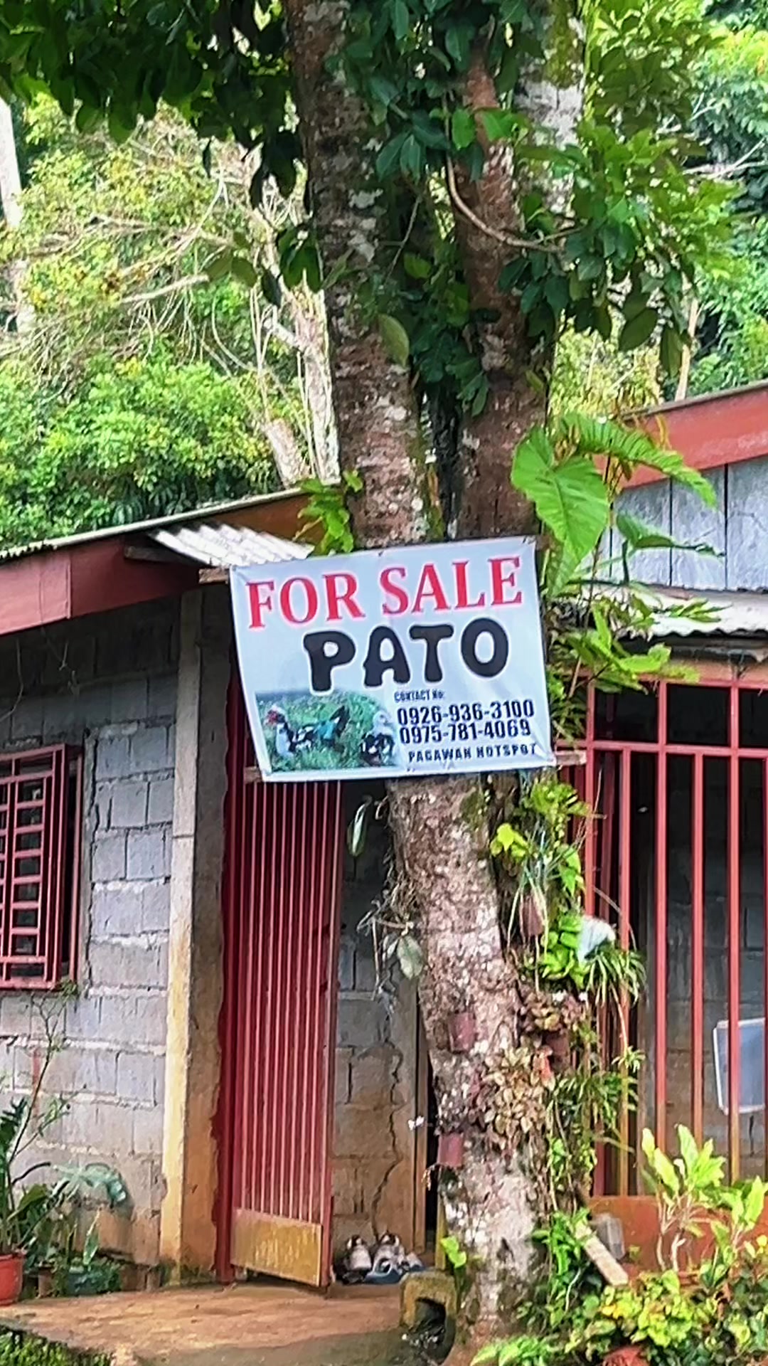 @Duterte Ryan