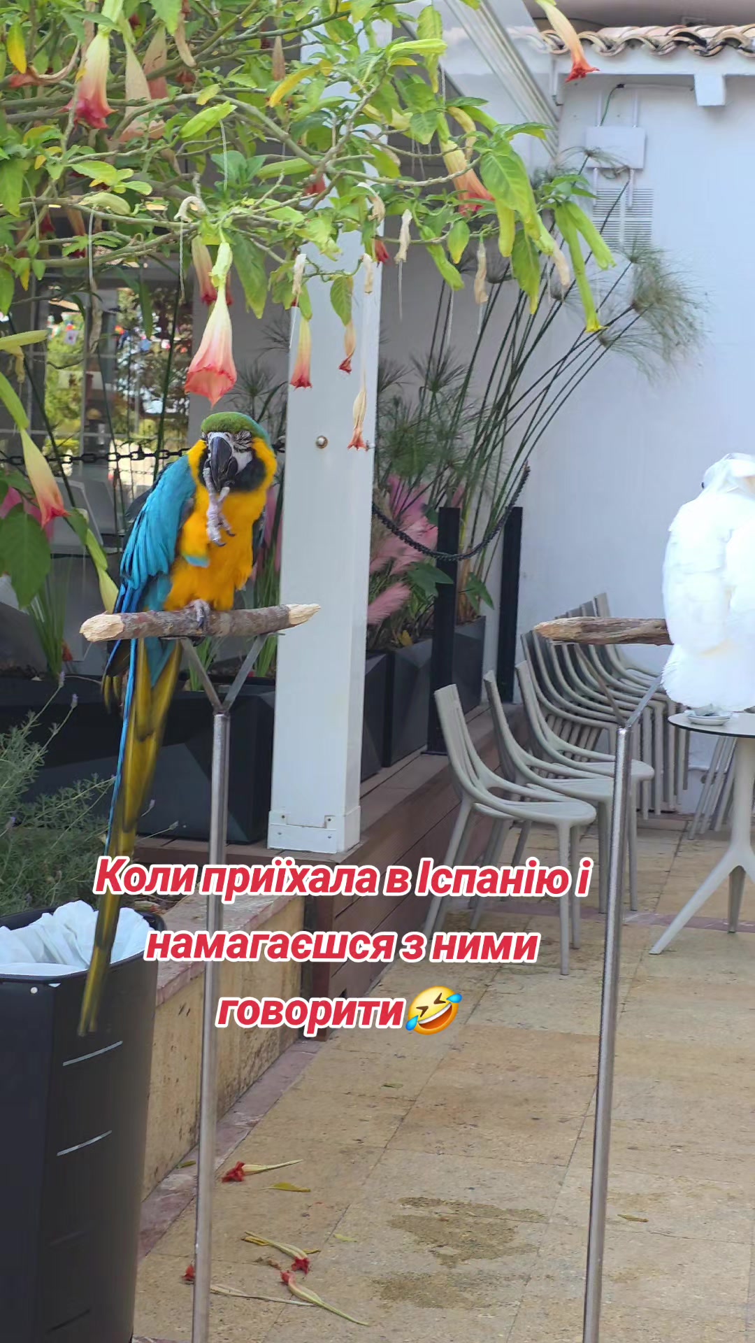 @Оксана Косаківська