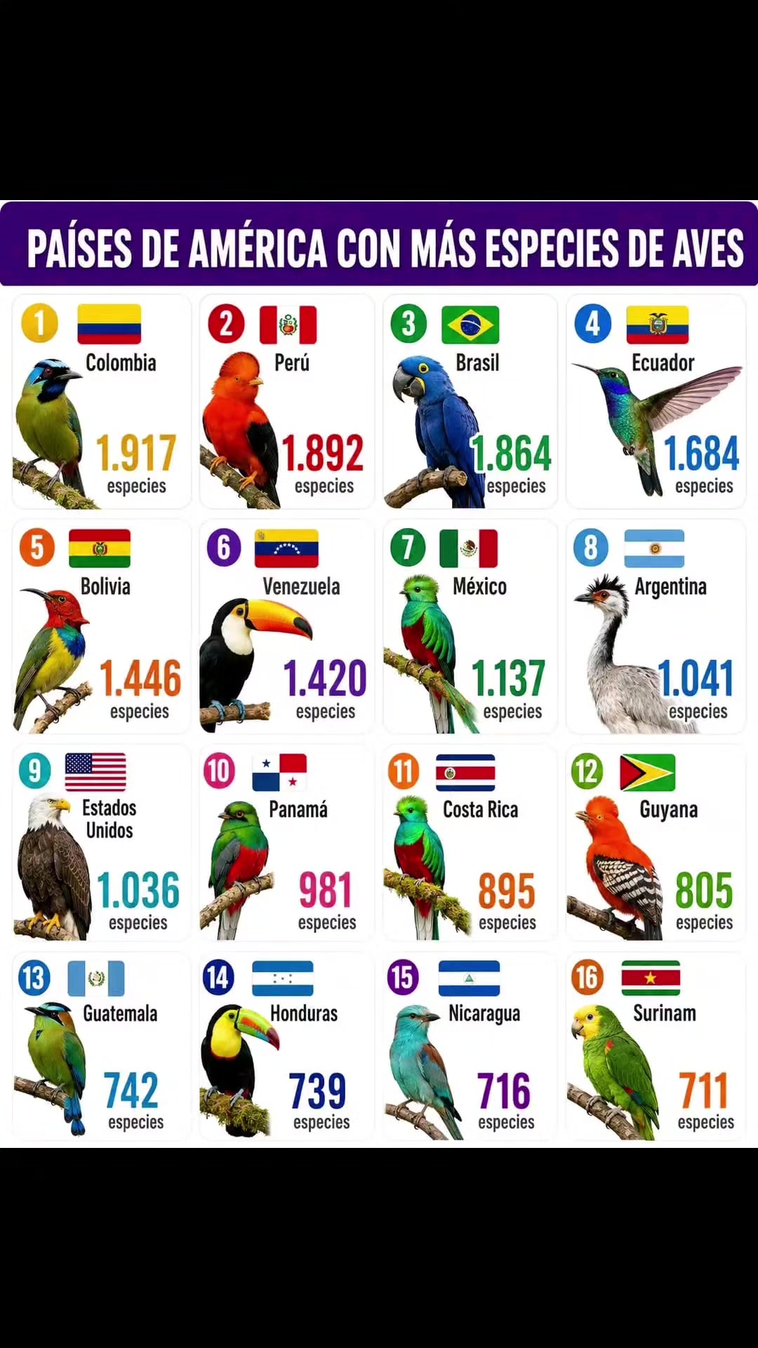 @PERUVIAN_CITY 🇵🇪🥰