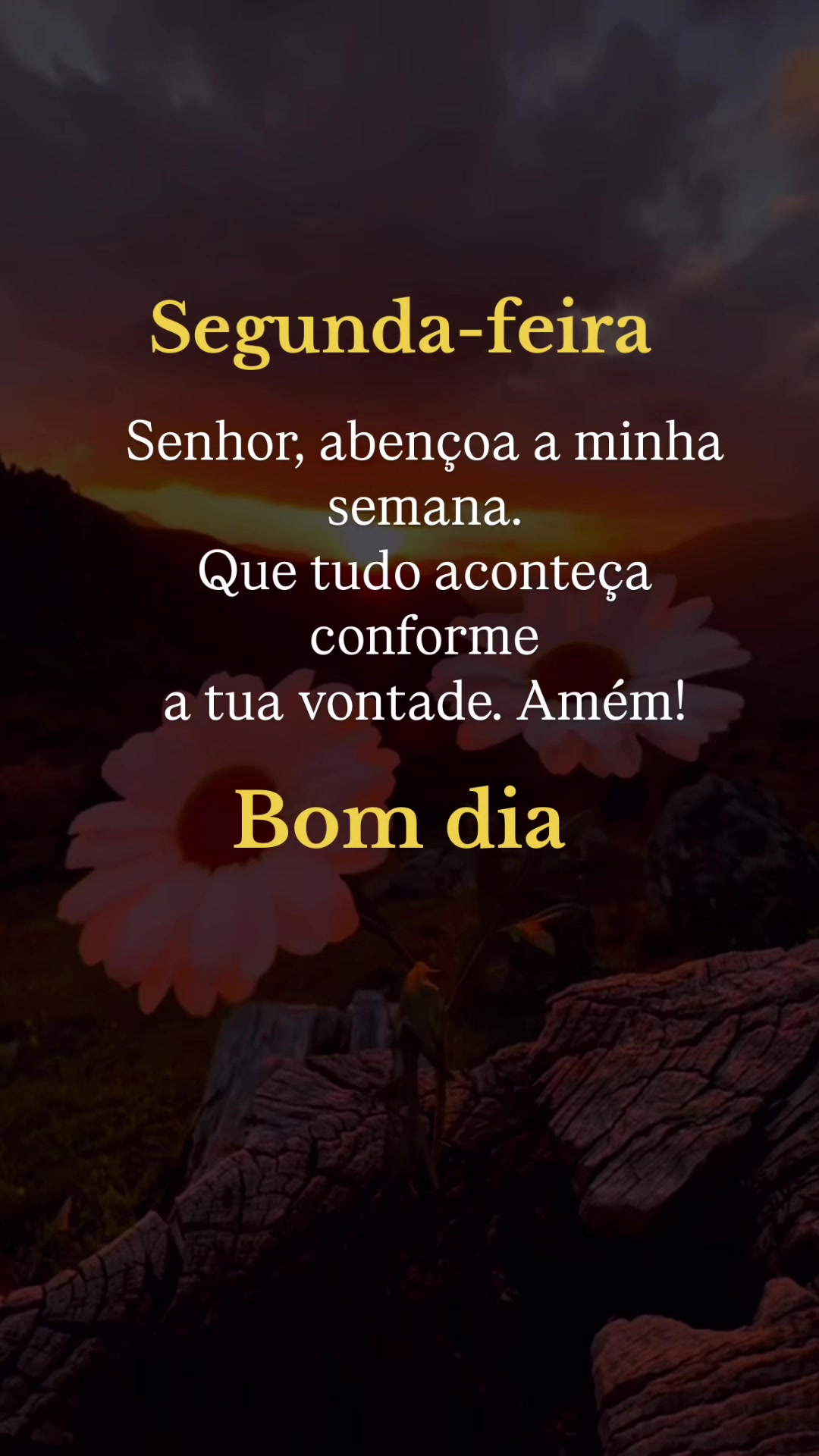 @frases de motiva&ccedil;&atilde;o