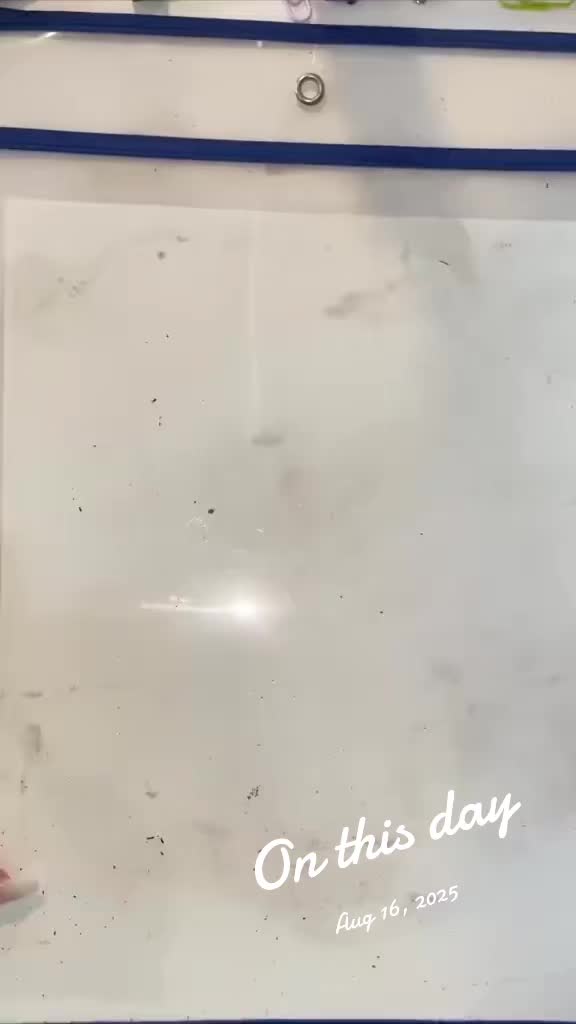 @Teaching With Glitter & Gold