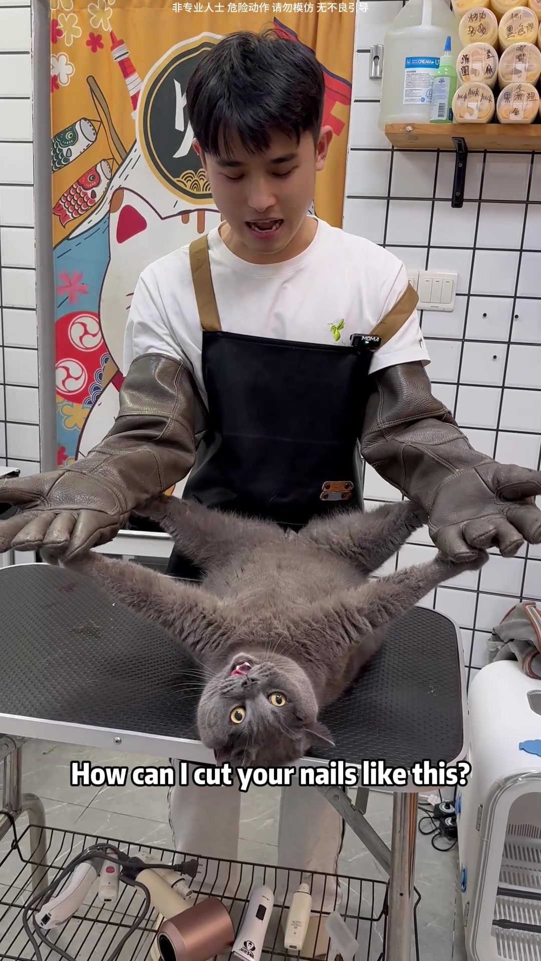 @washing.cats