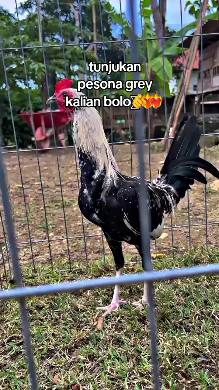 @R-K. FARM (MDR)