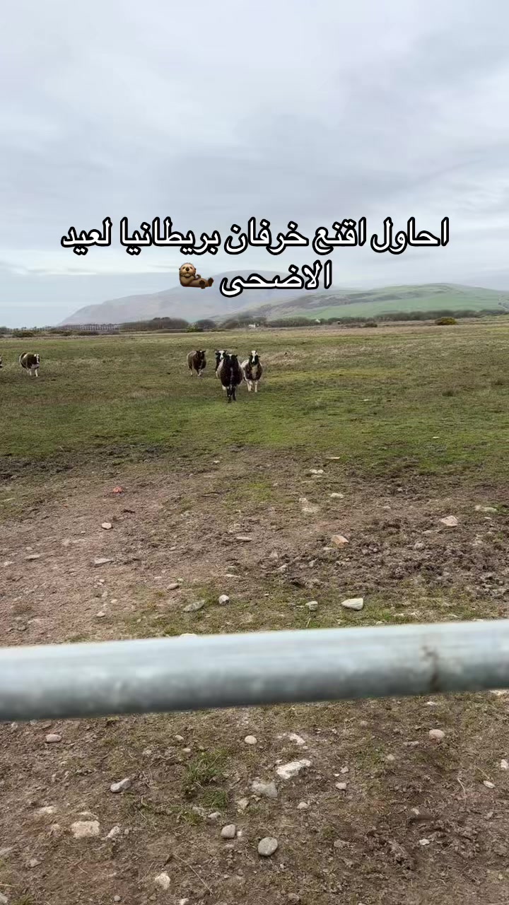 @تغطيات سارة 🛍
