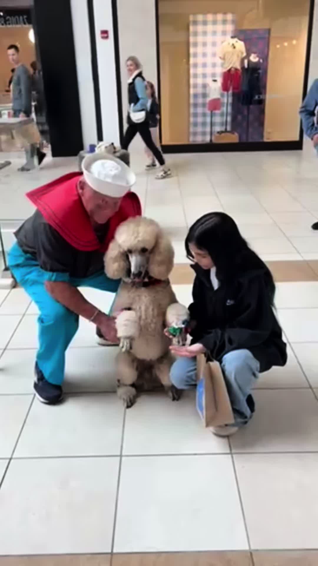 @Pappy the Poodle Merch