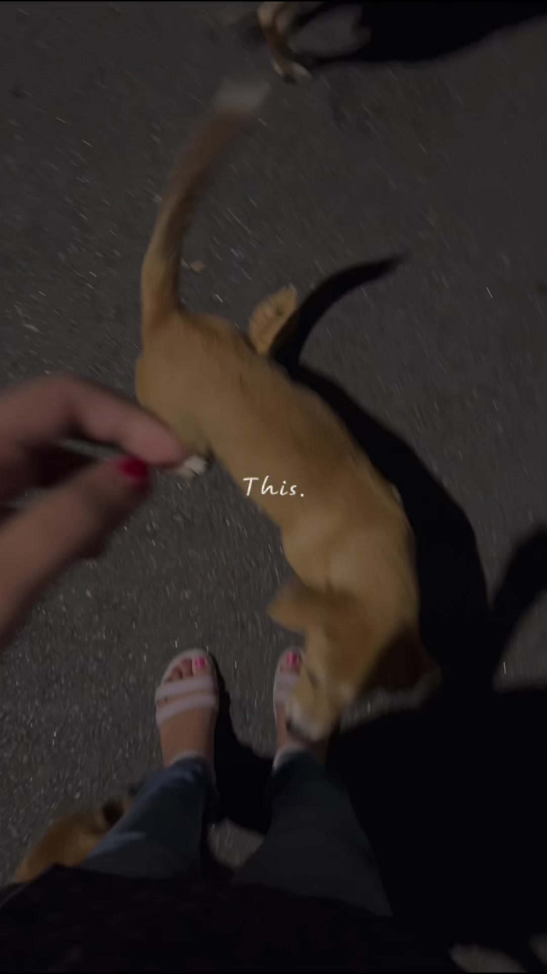 @๐ ๐๐_๐๐ ๐