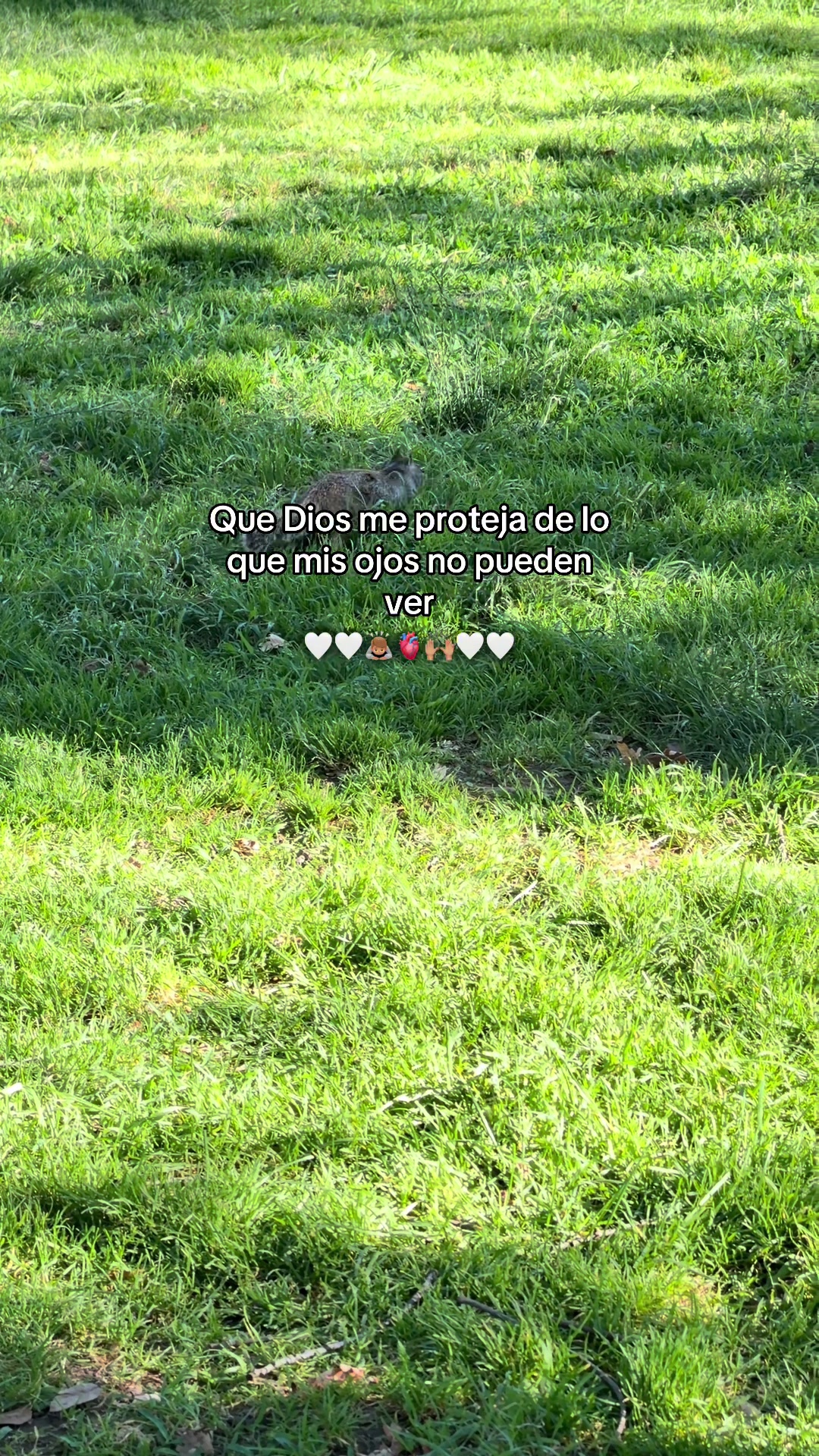 @Leticia Castanon