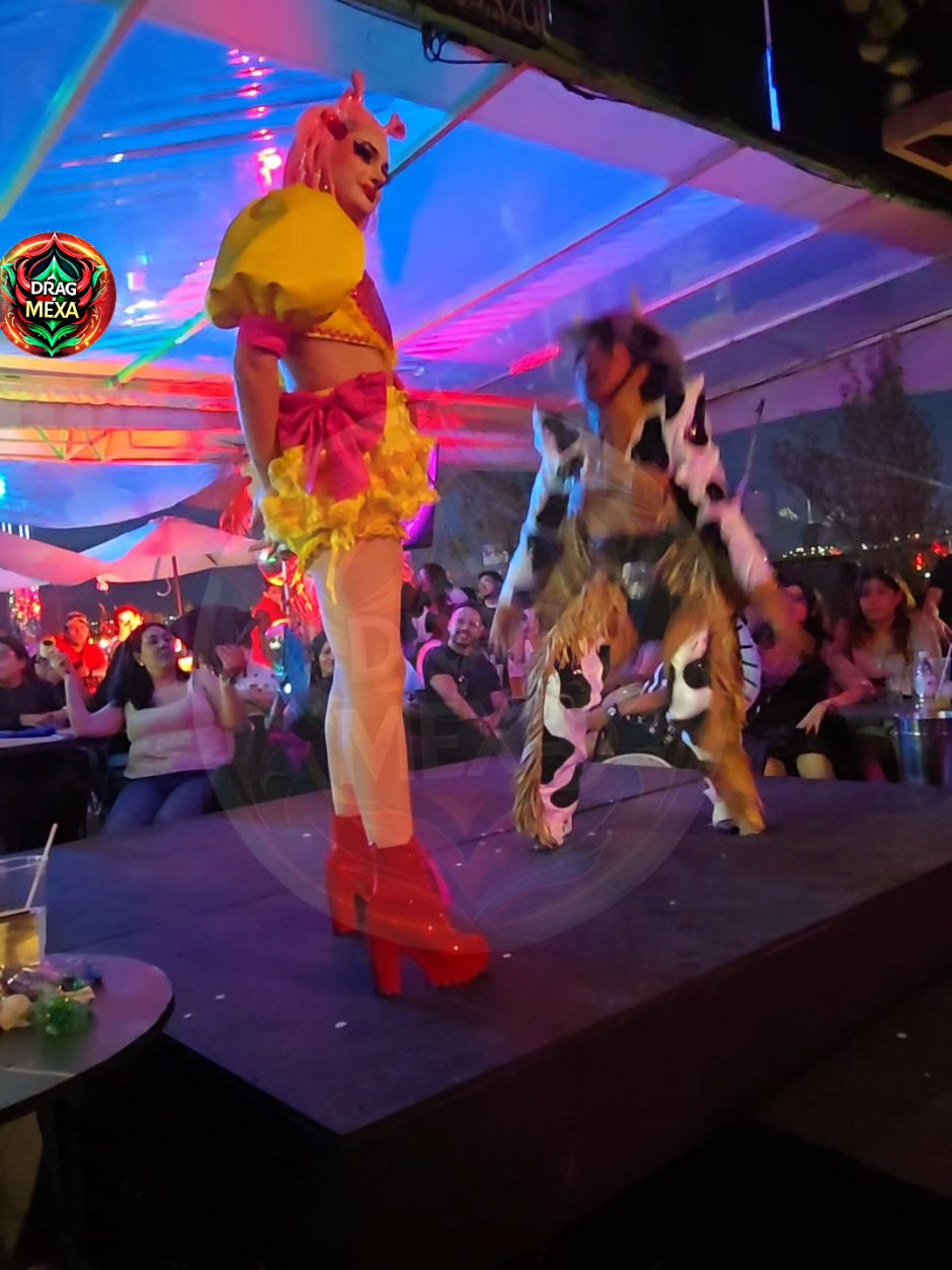 @DRAGMEXA