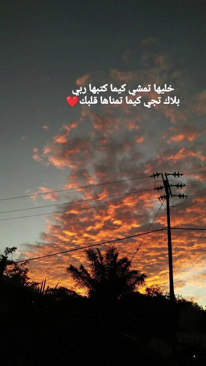 @๐ฉทโจMALAK_BA๐๐งธ