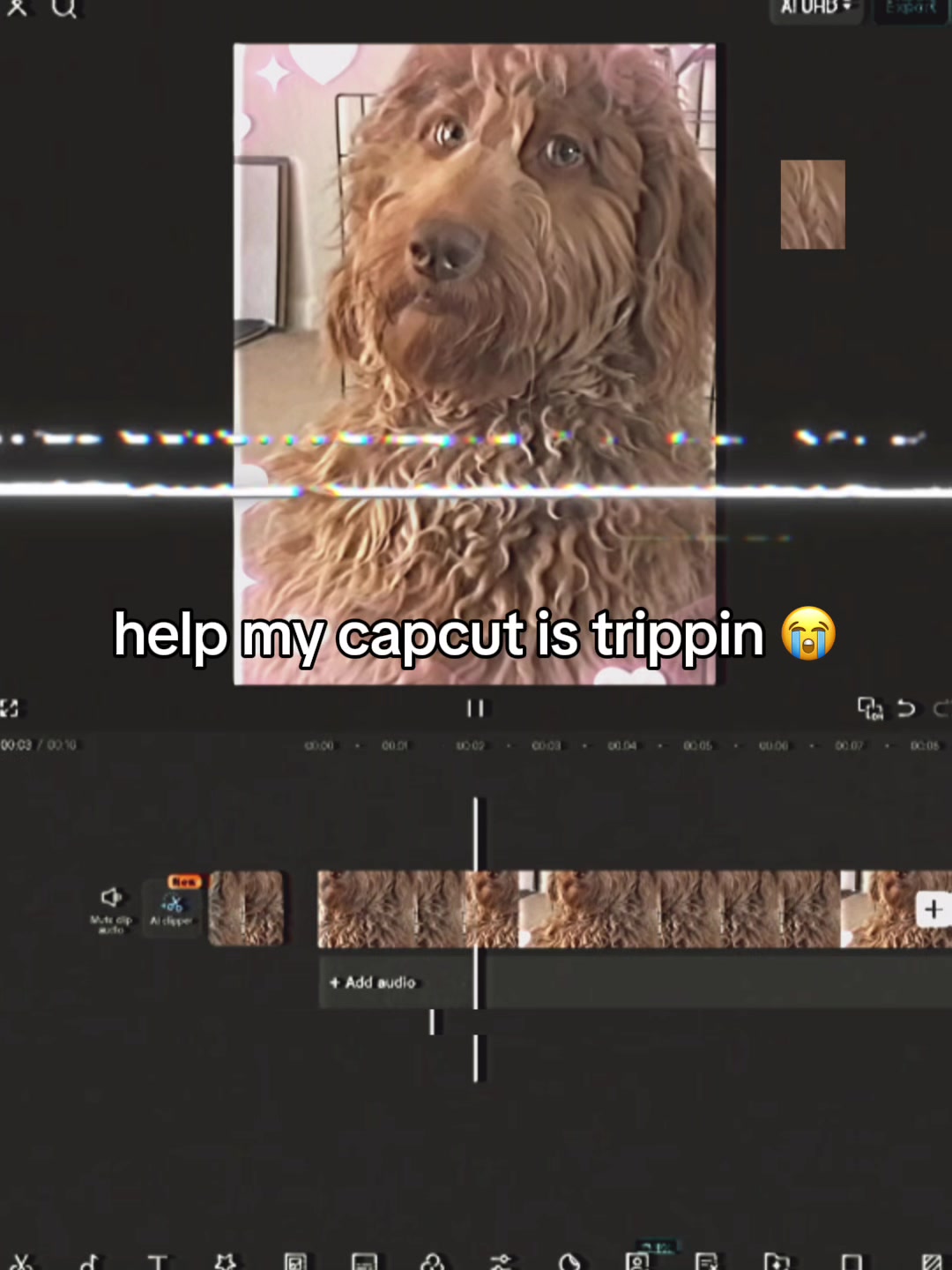 @chillguy