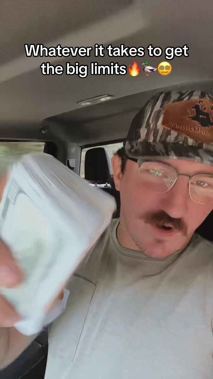 @American Mallard