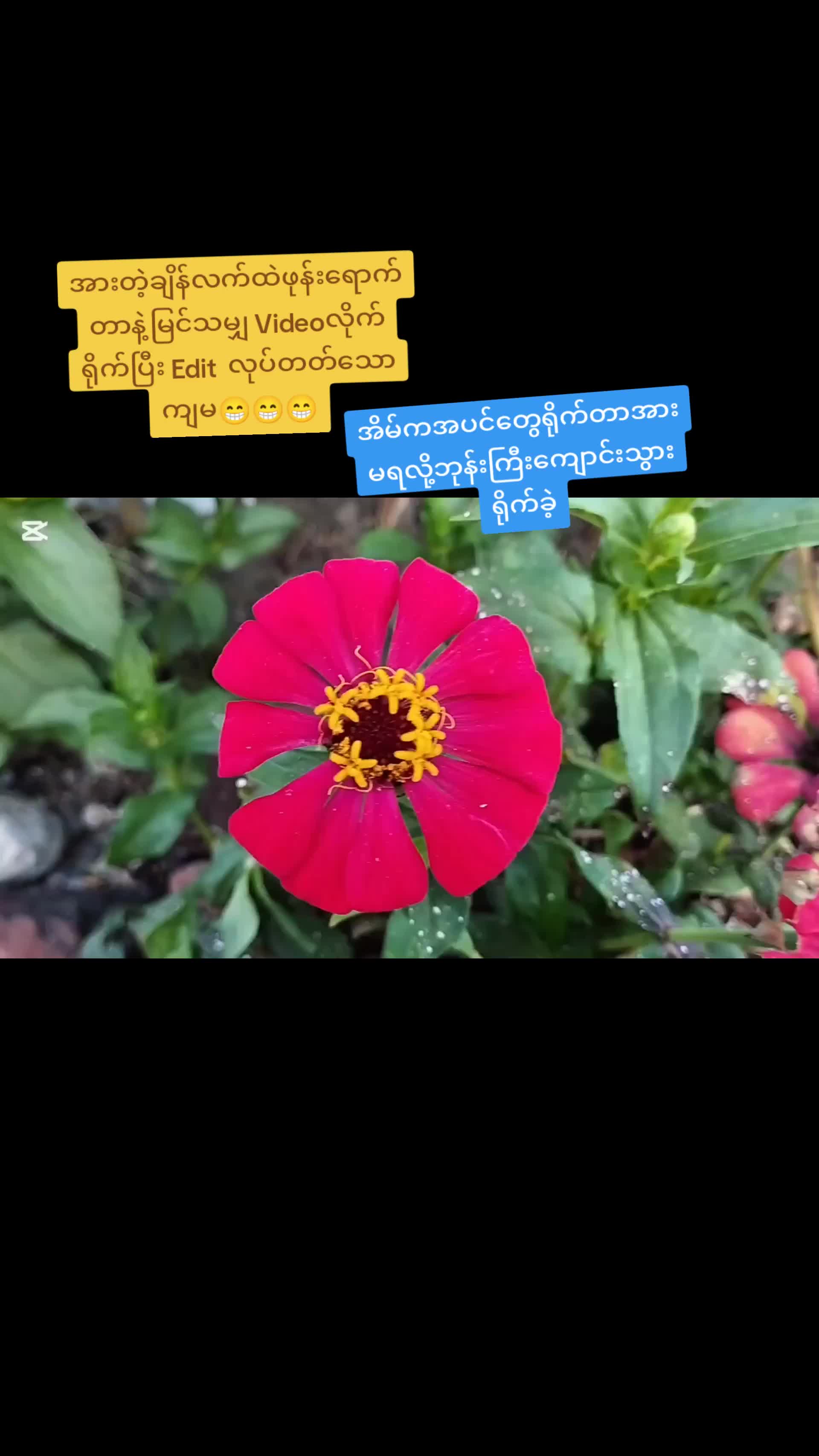 @Zin Me (Kalaymyo Thu)