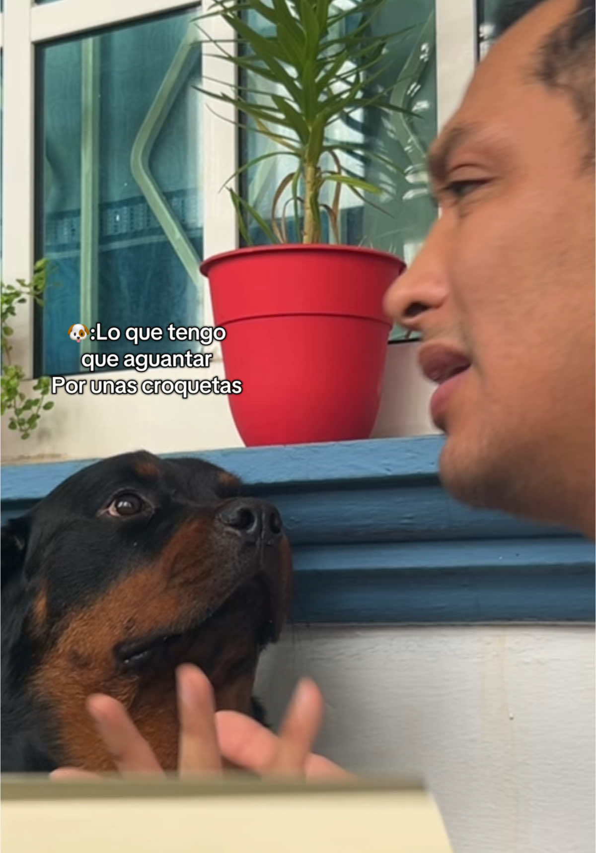 @peyitogamer