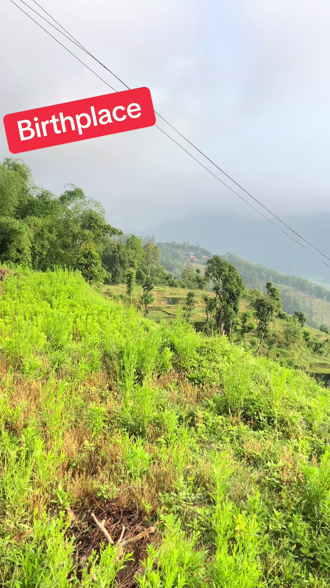 @Balaram Lamichhane ✅