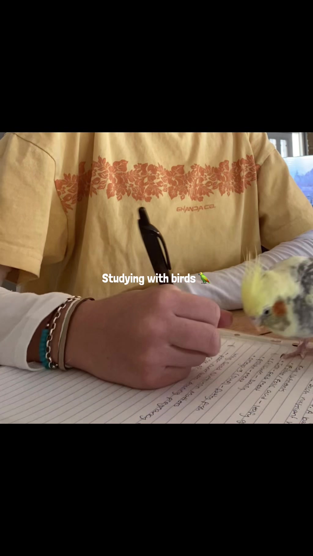 @mybirdjourney;)