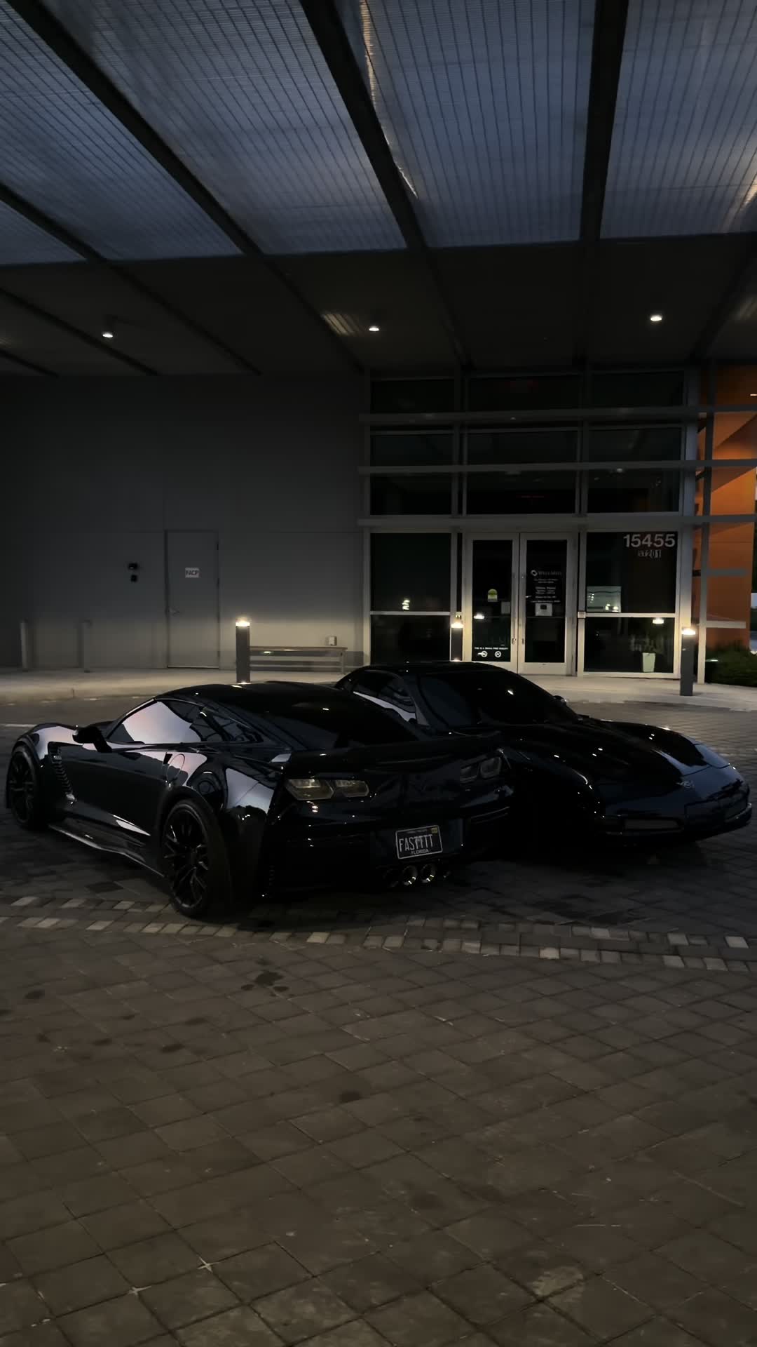 @collier🦇