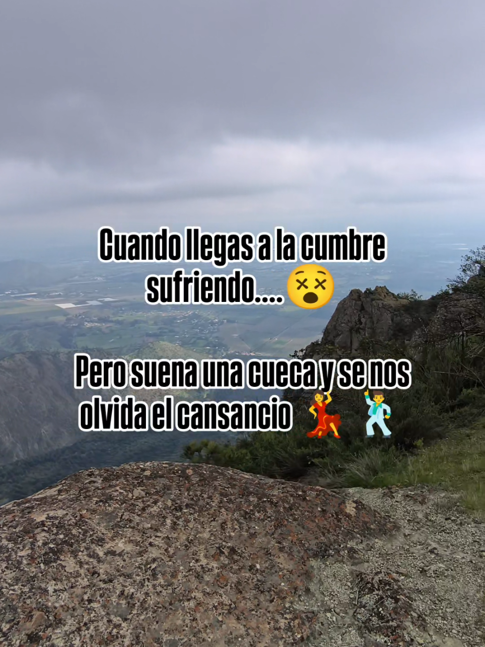 @Felipe_WildLife