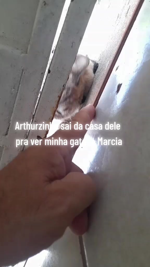 @Sérgio Loncke