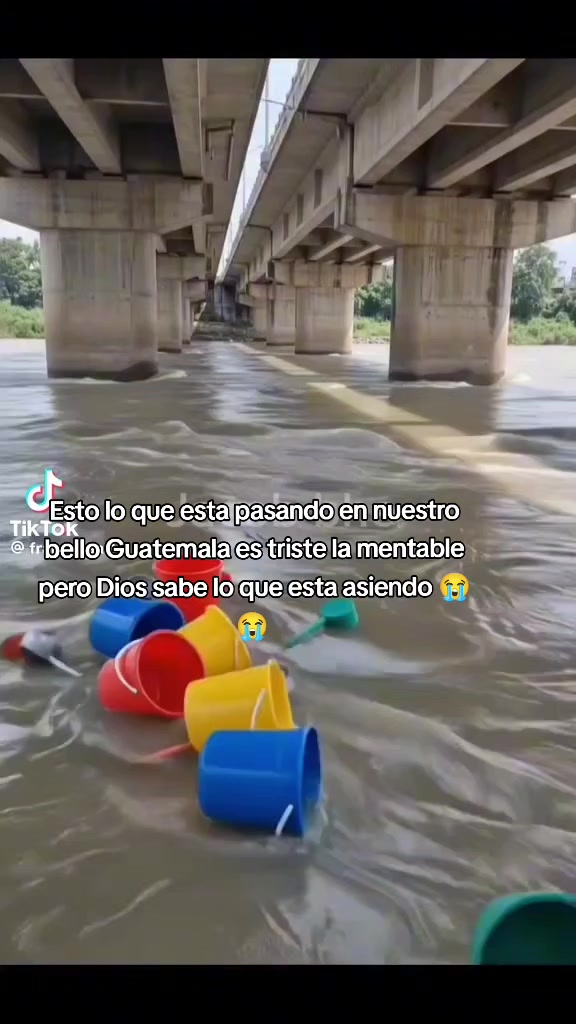 @Evercocyat