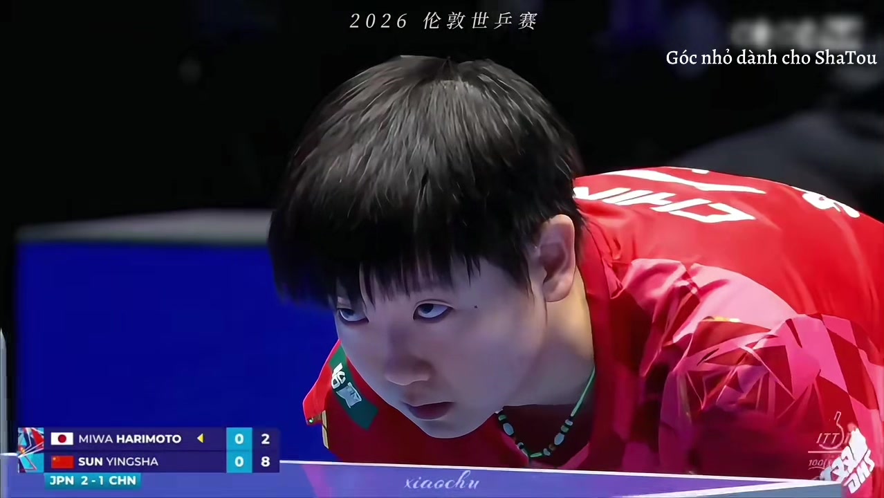 @Acc n&agrave;y chỉ c&oacute; ShaTou🦁🦈❤️