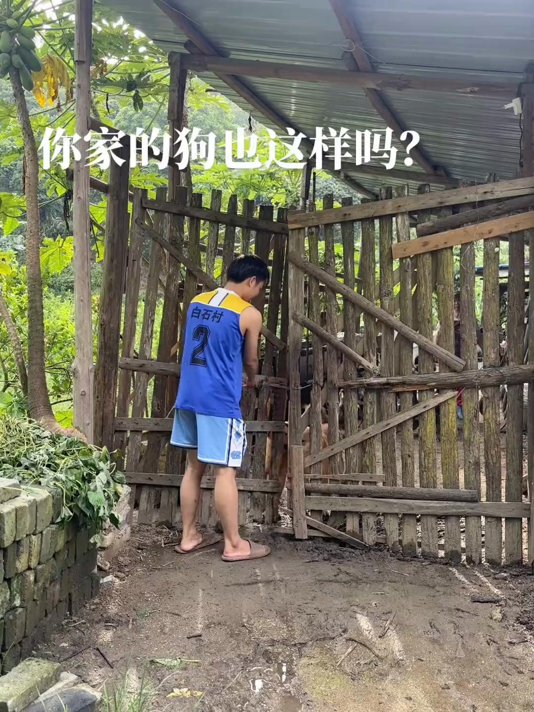 @平凡無奇
