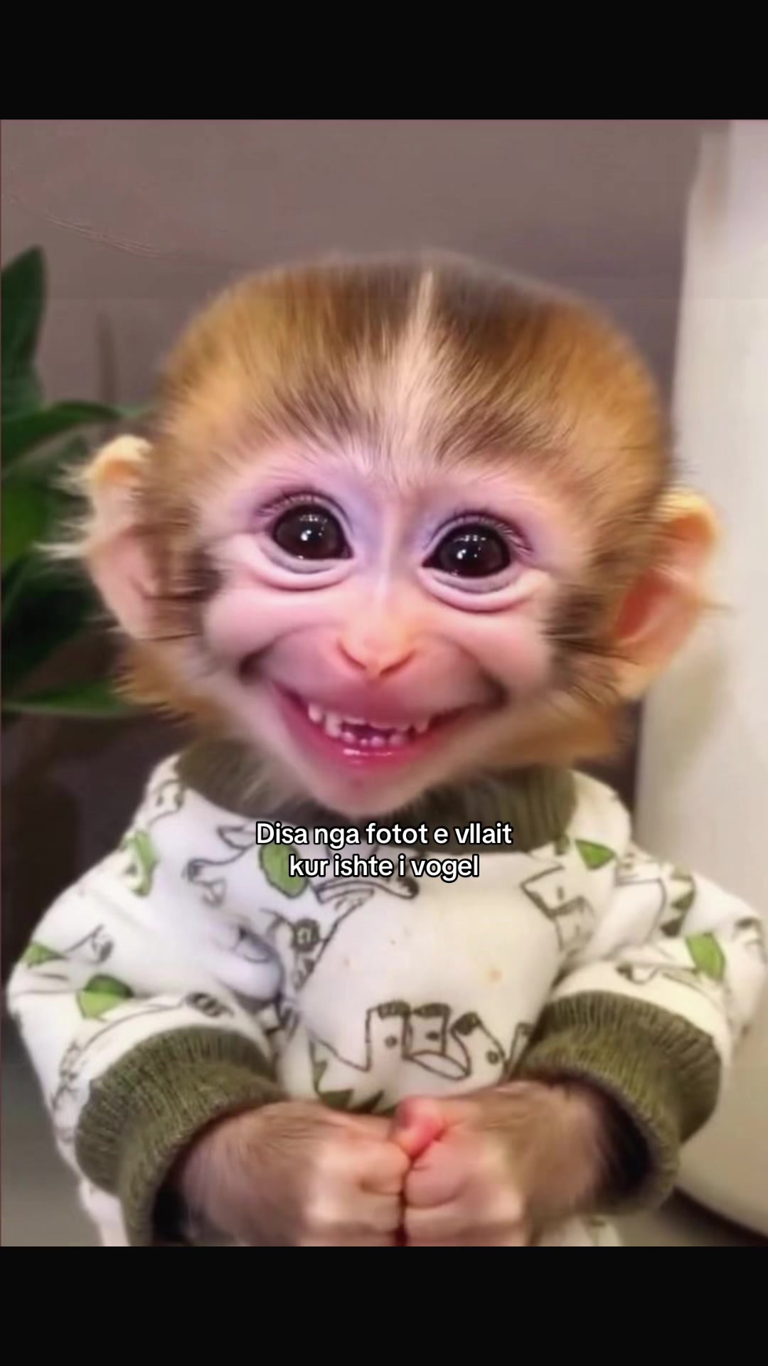@dk