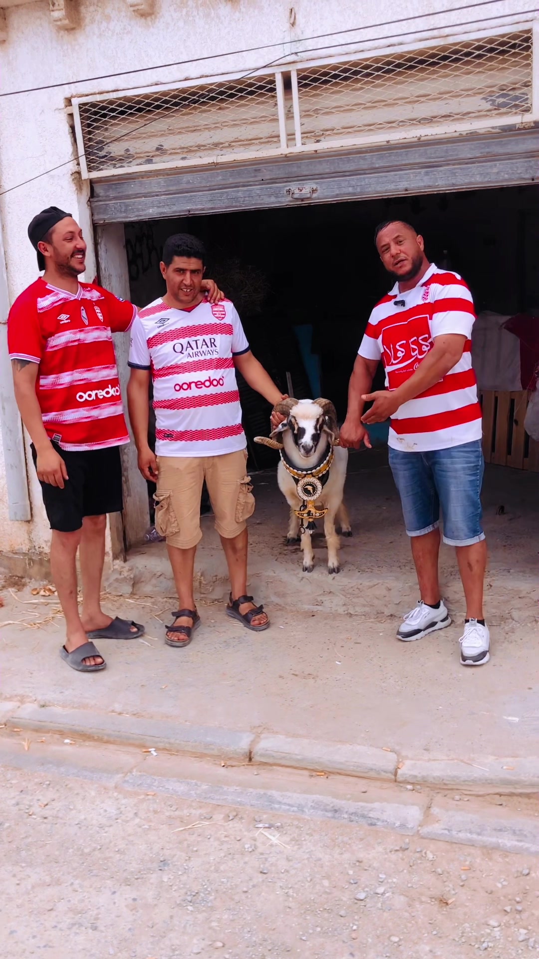 @سيف غرام زمان 🇹🇳