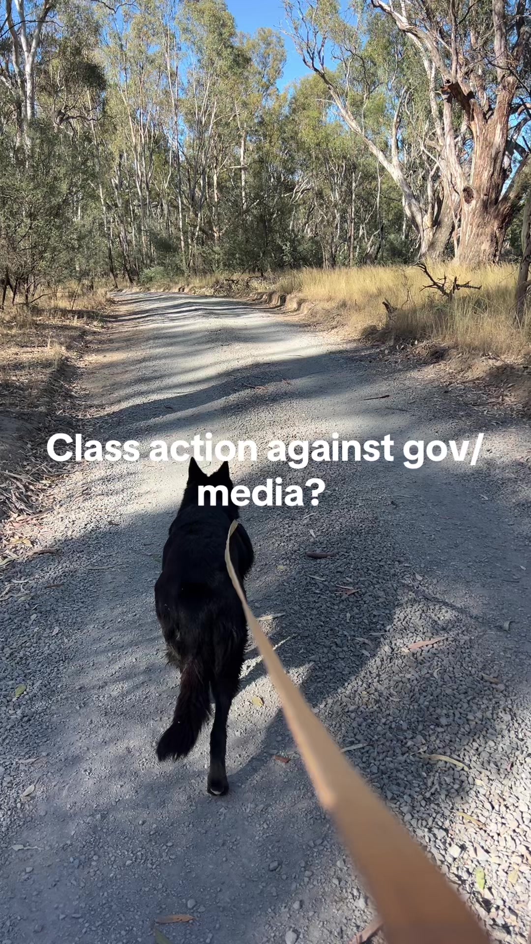 @Savage Aussie