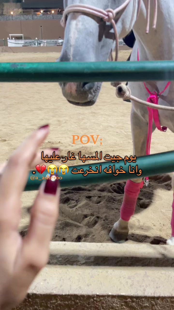 @﮼شريفه❦