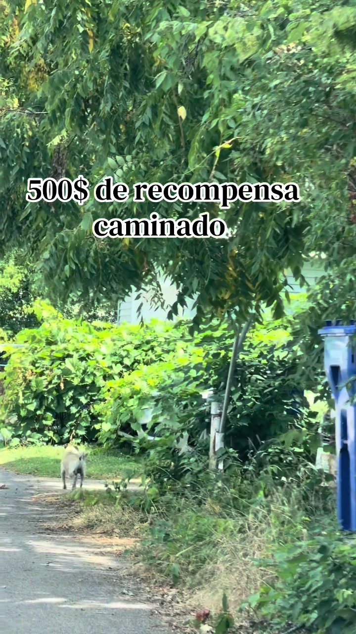@s_Alex🍃♾️