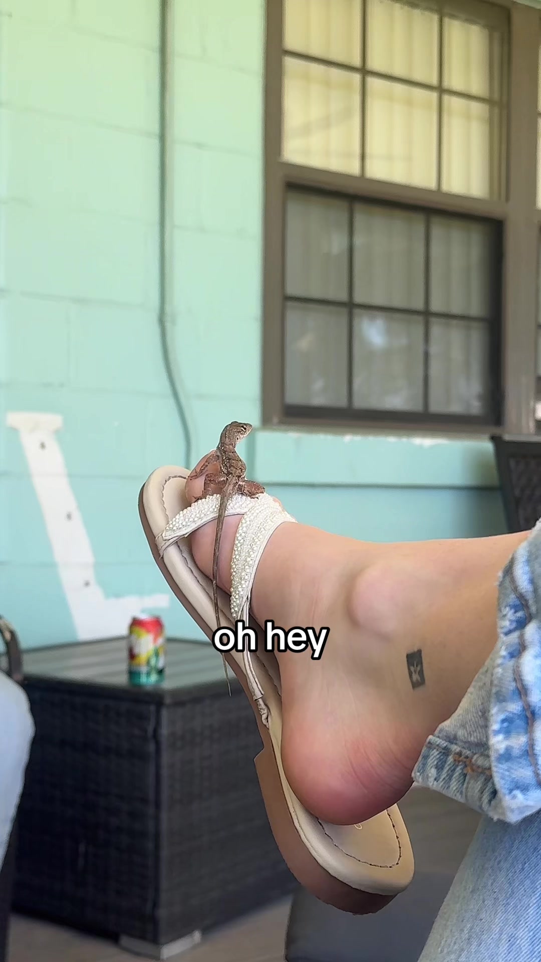 @nor.nors.spammy