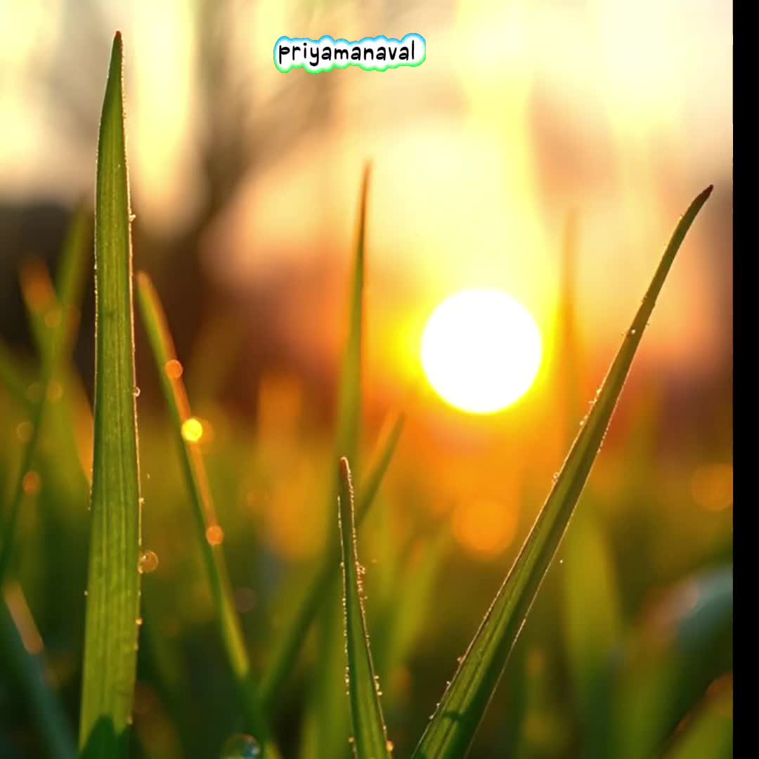 @Priyamanaval Mala🕊️