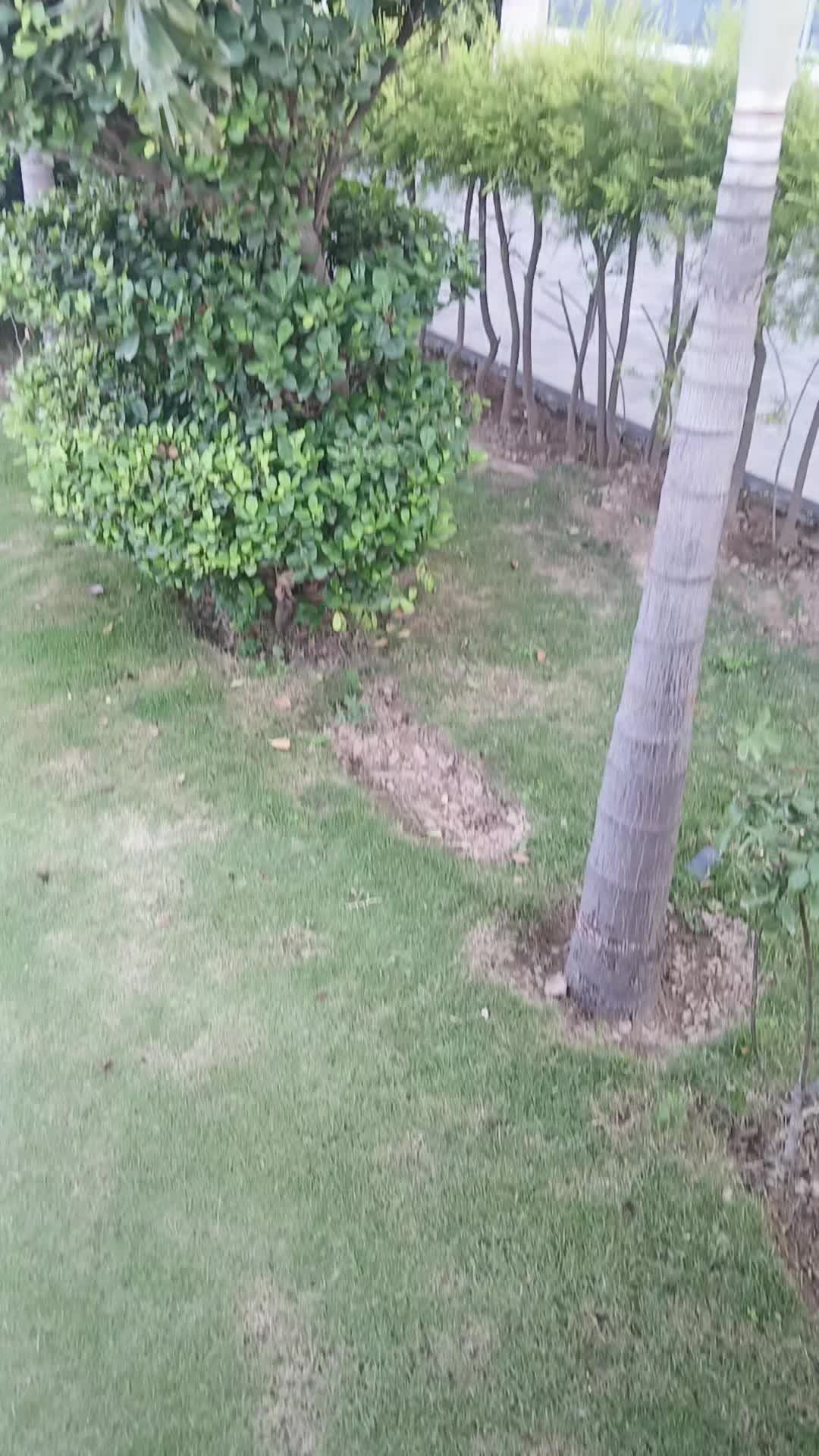 @ISLAMABAD 🤪🤧🎗️🤠🤠