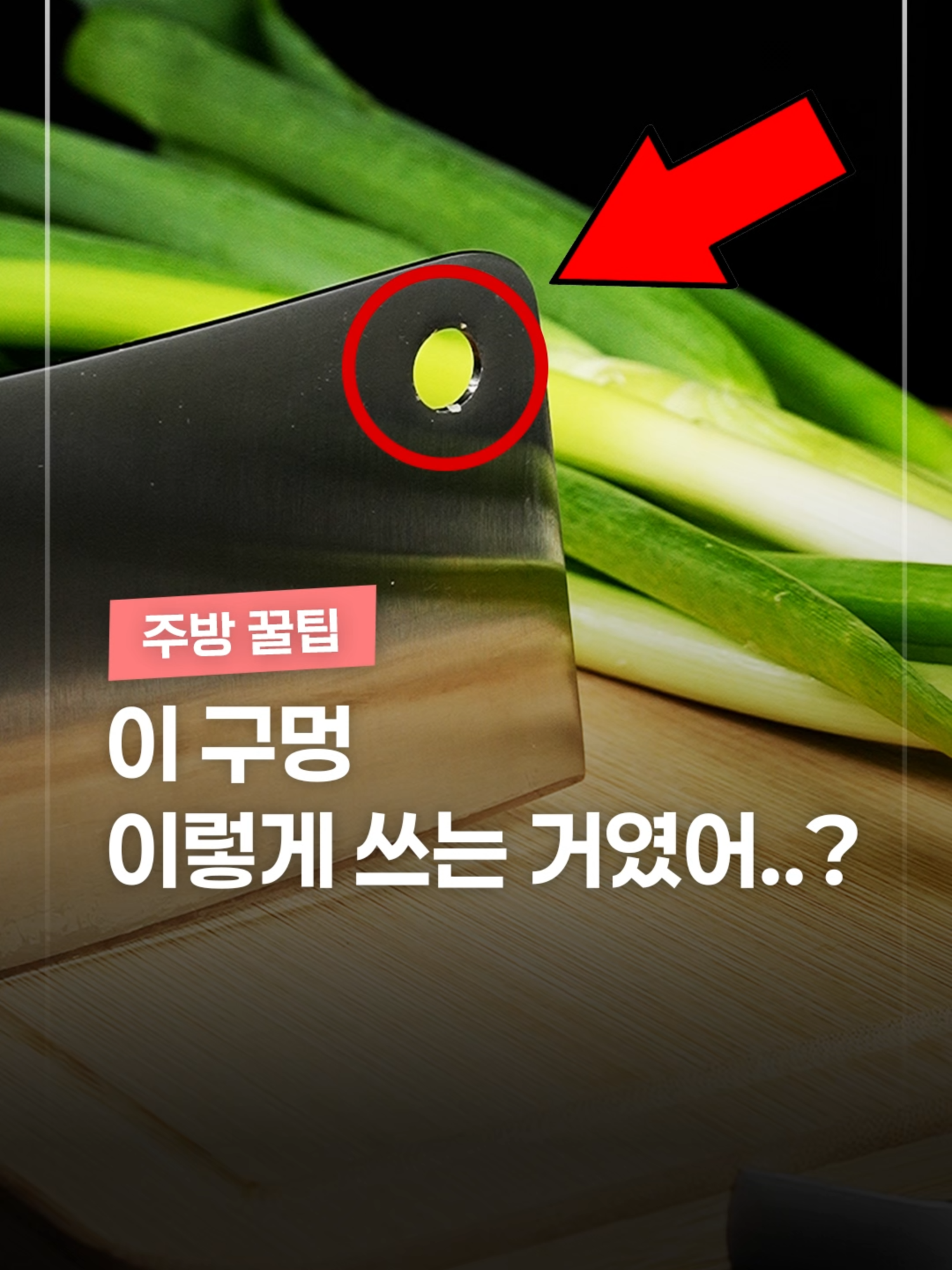 @짤컷
