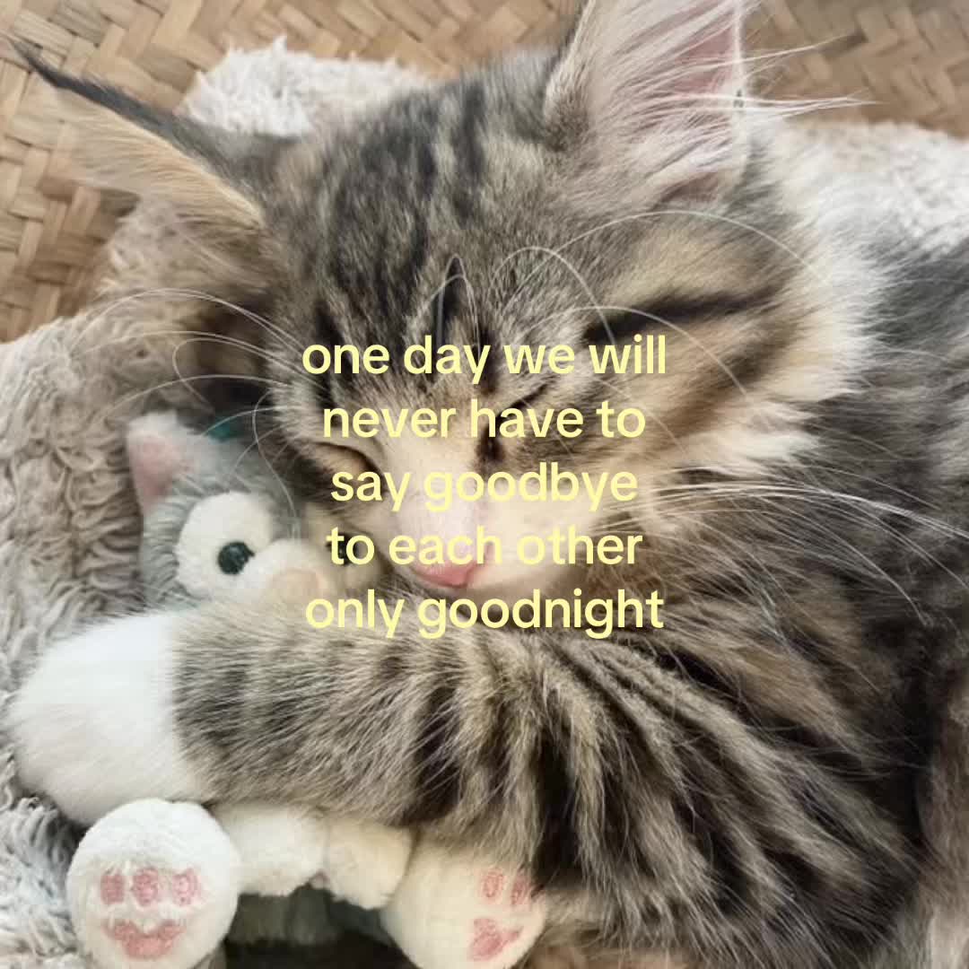 @motionsoflove
