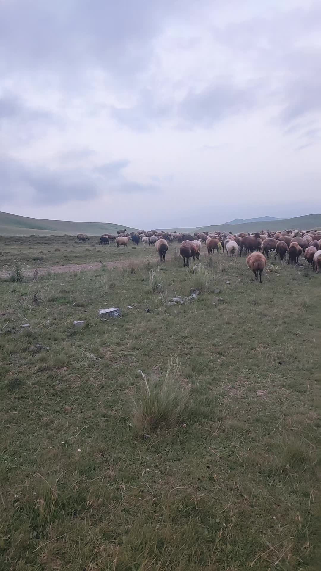 @Suren Kalasyan