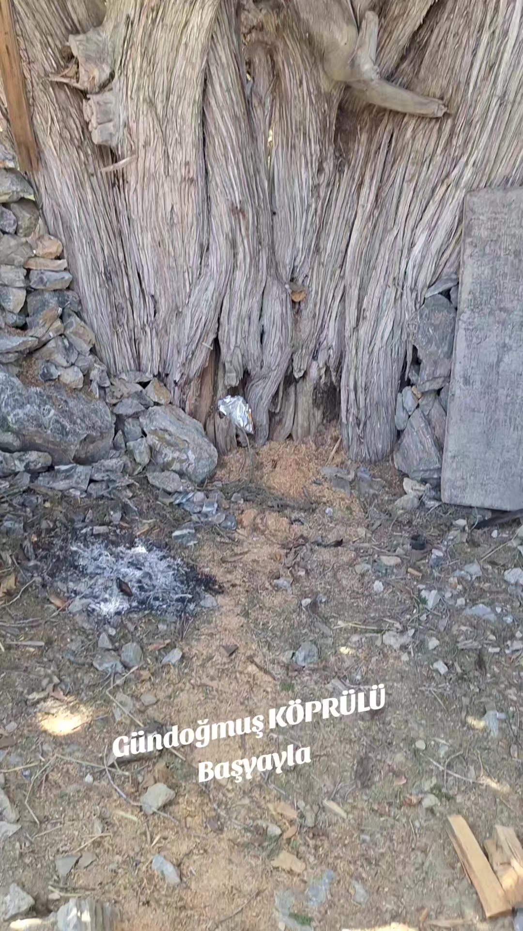 @Y&Ouml;R&Uuml;KKIZI🇹🇷07🇹🇷Alanya