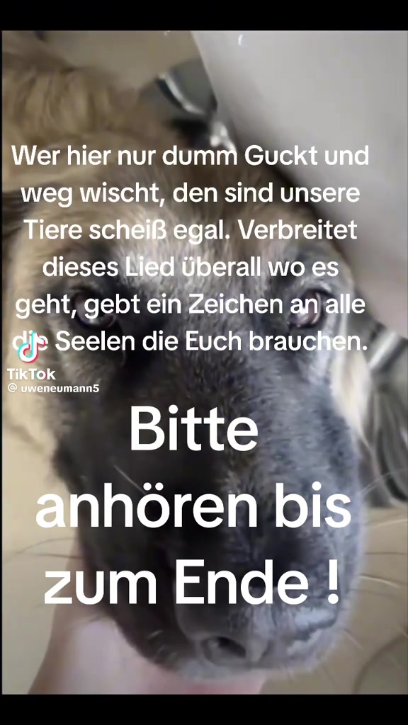@sandrahallod