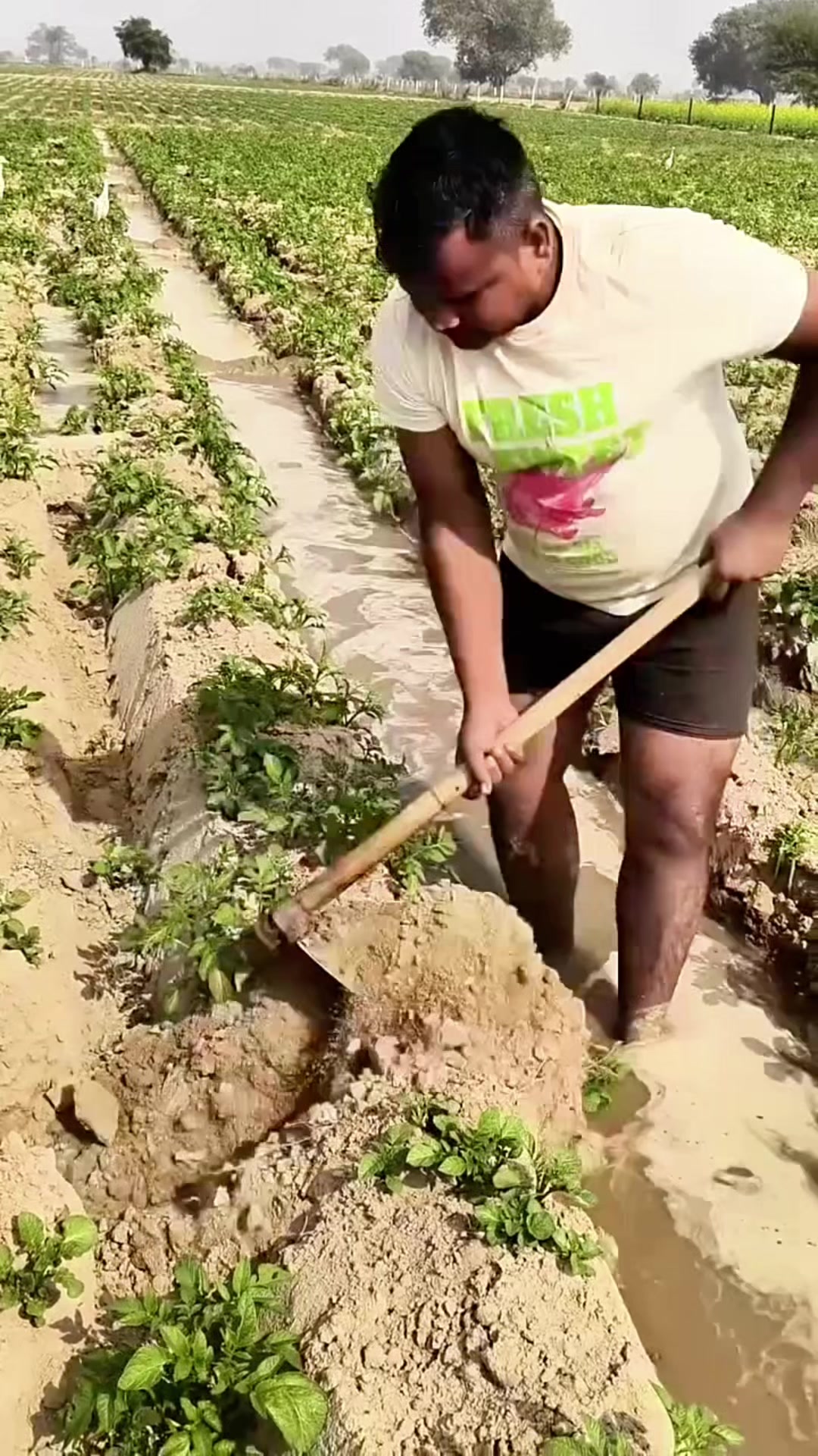 @H0a3
