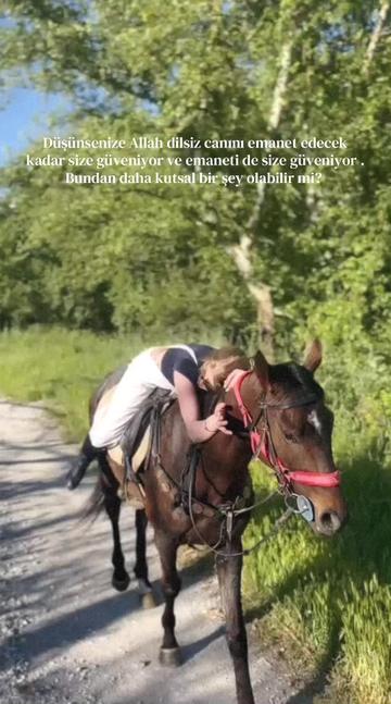 @sena altın