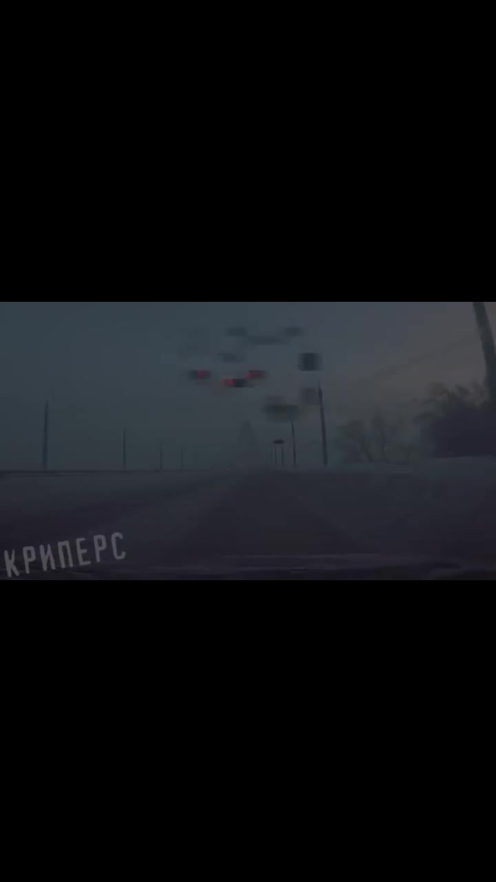 @Эхо Тайной Библиотеки