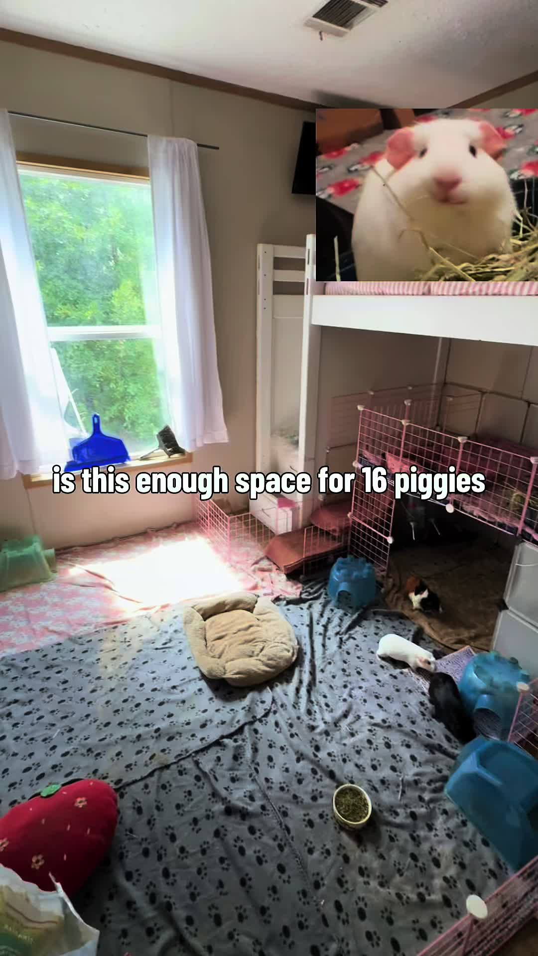 @l3ootyTicklez