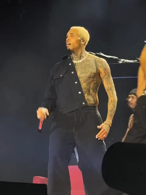 @chrisbreezybrown