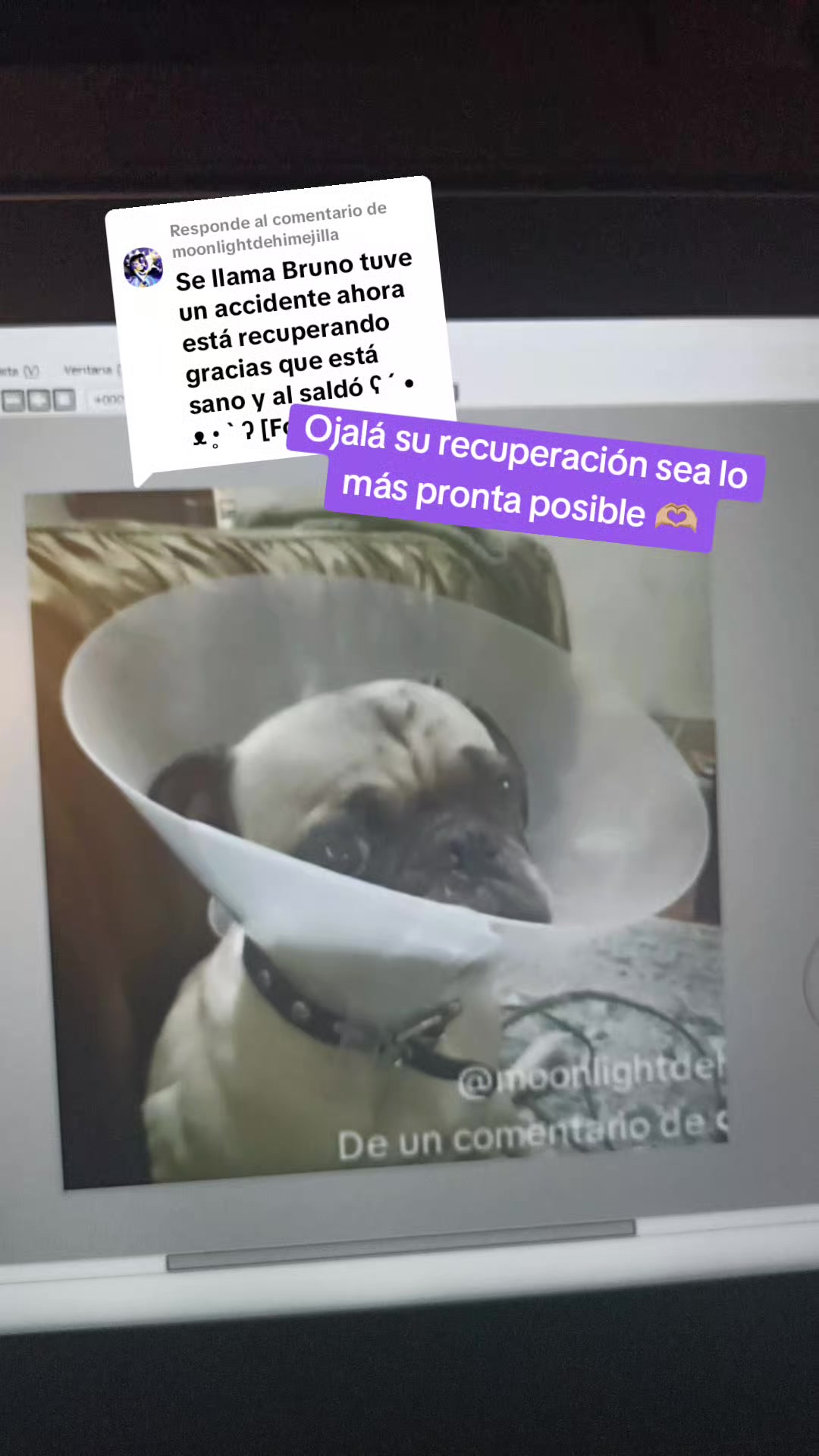 @OliverOjosTristes
