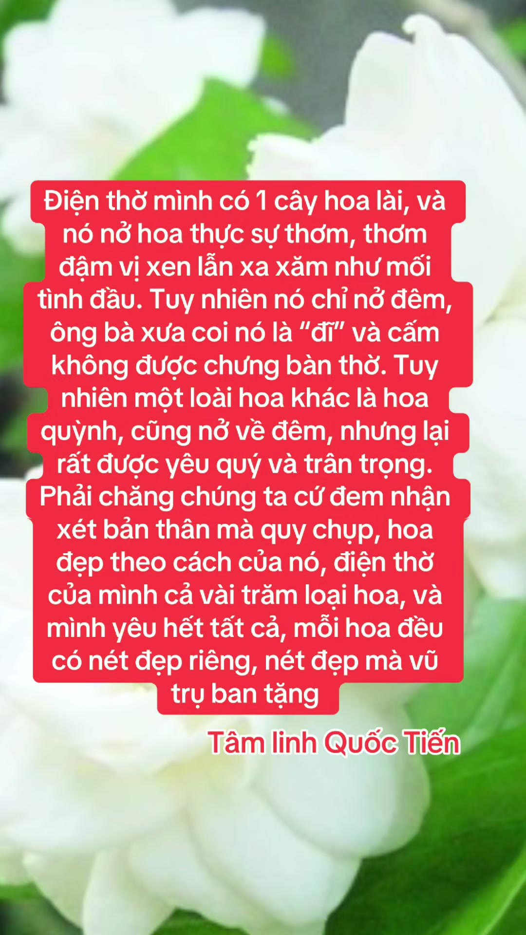 @Quốc Tiến ✅