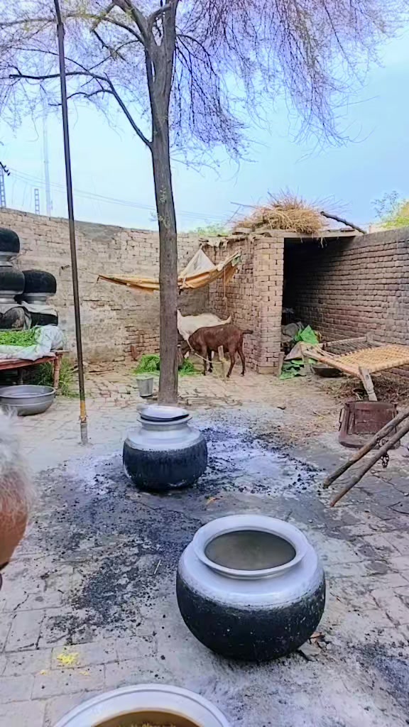 @zubairsh3